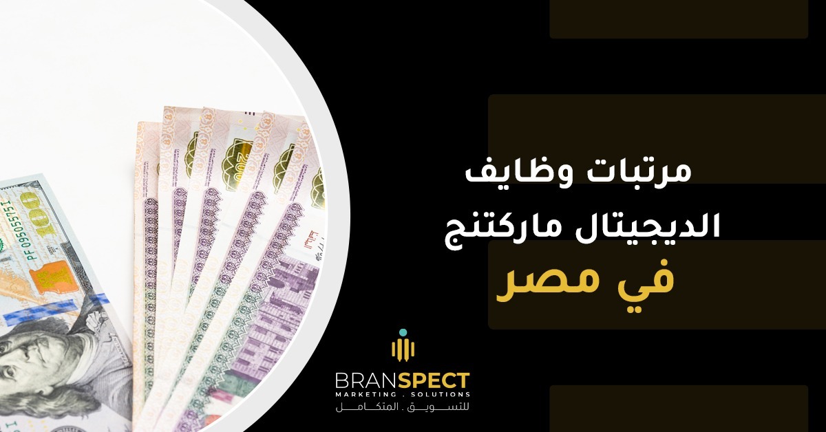 مرتبات-وظايف-الديجيتال-ماركتنج-في-مصر