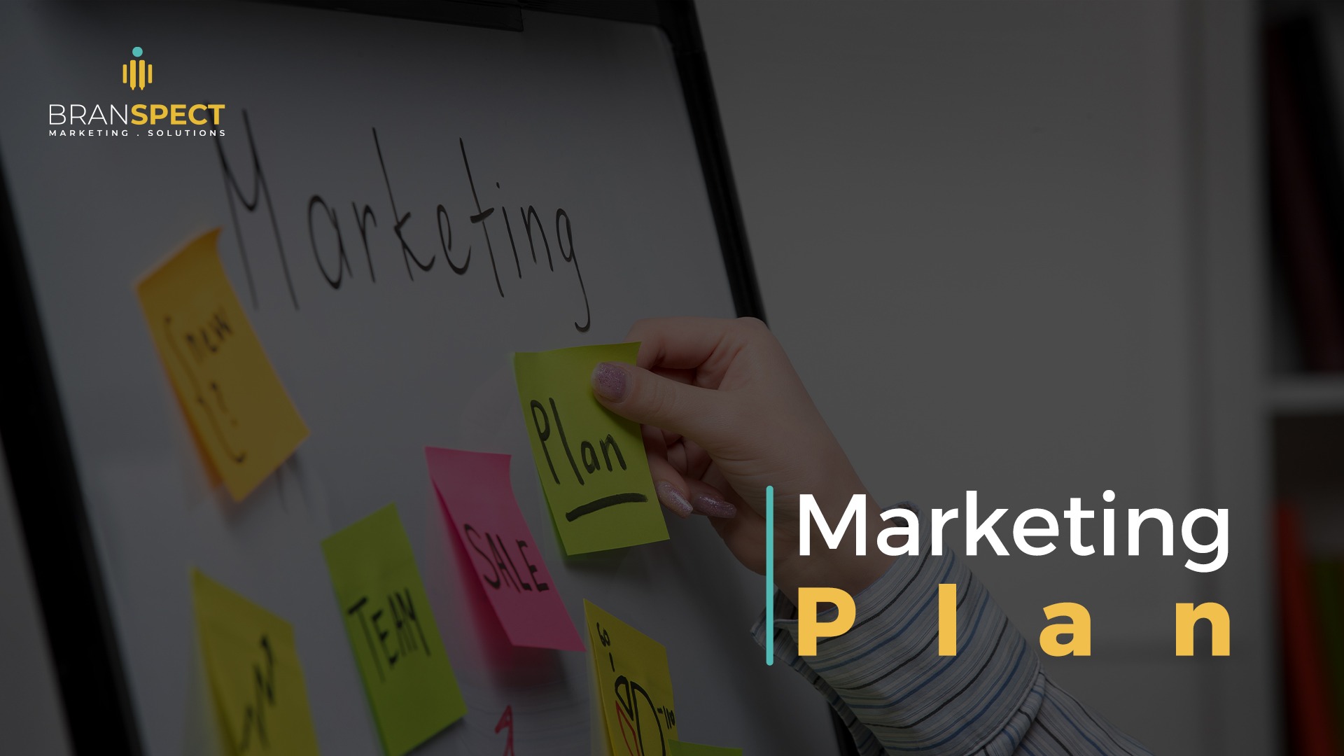 Marketing Plan
